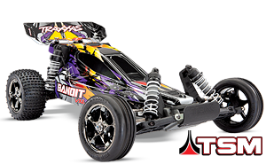 The Traxxas Bandit VXL